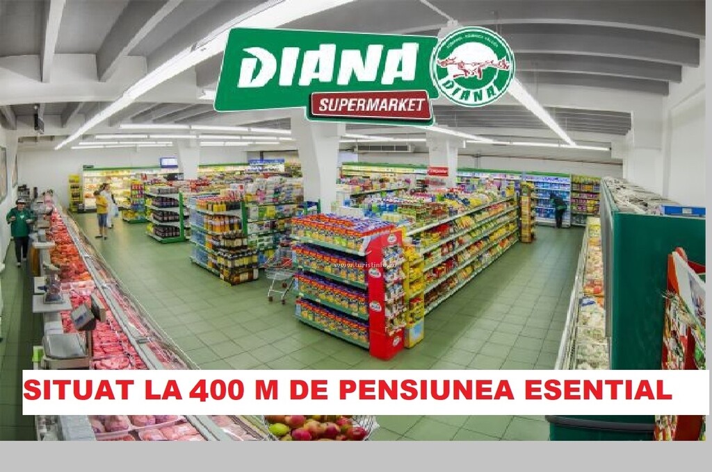 Pensiunea Esențial