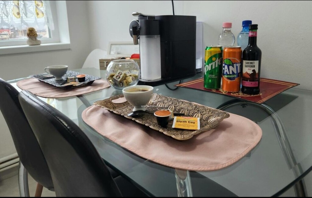Apartament Palas