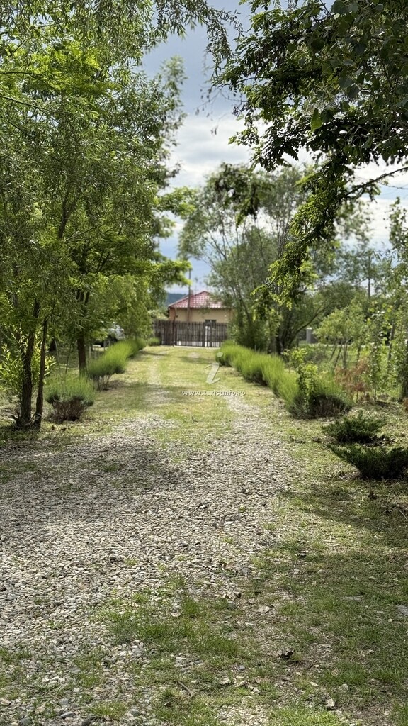 Lacul cu Cabană