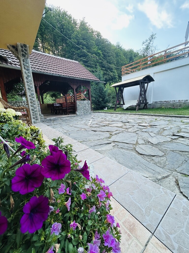 Casa Ursu