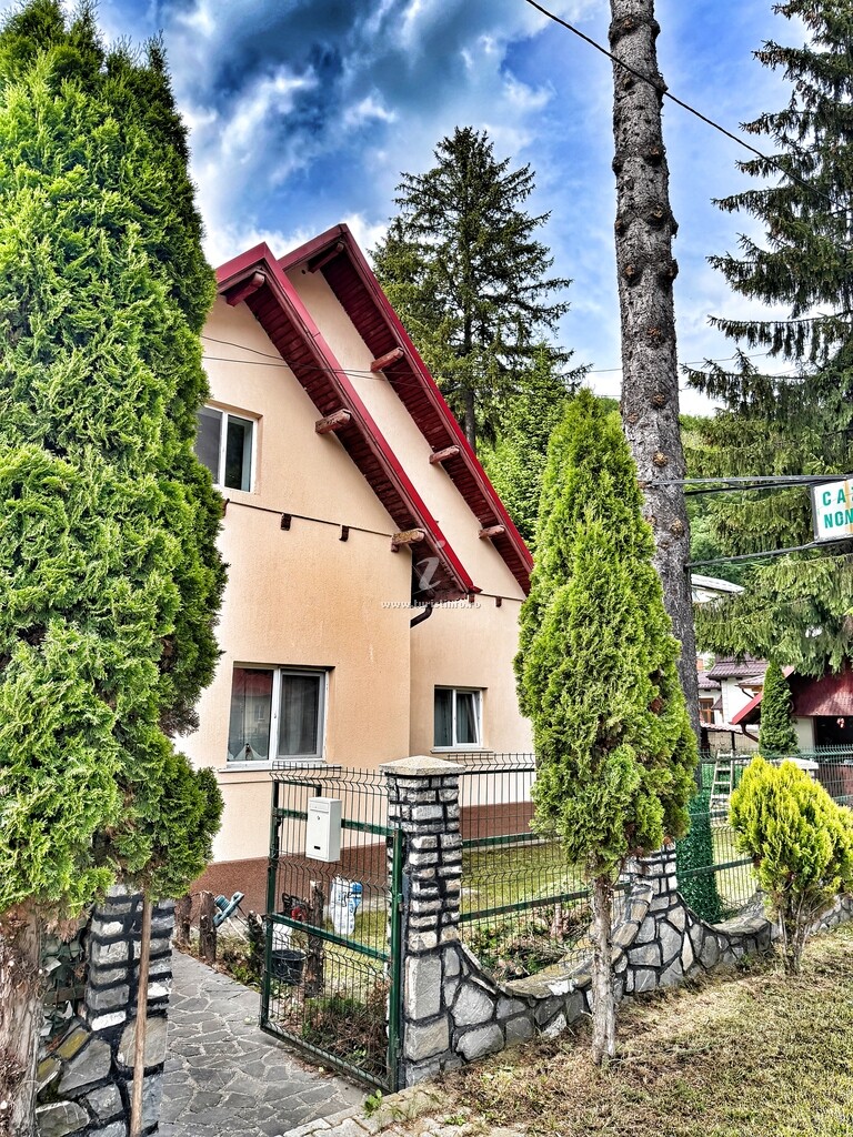 Cabana Pîrvu