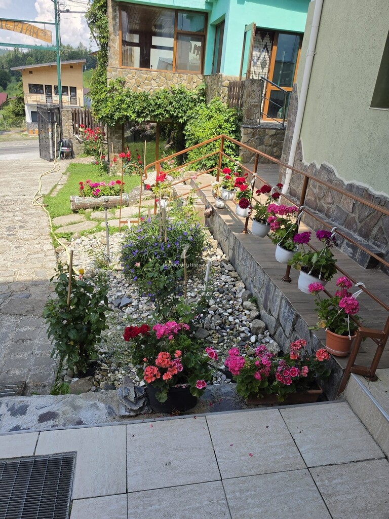Casa Novac