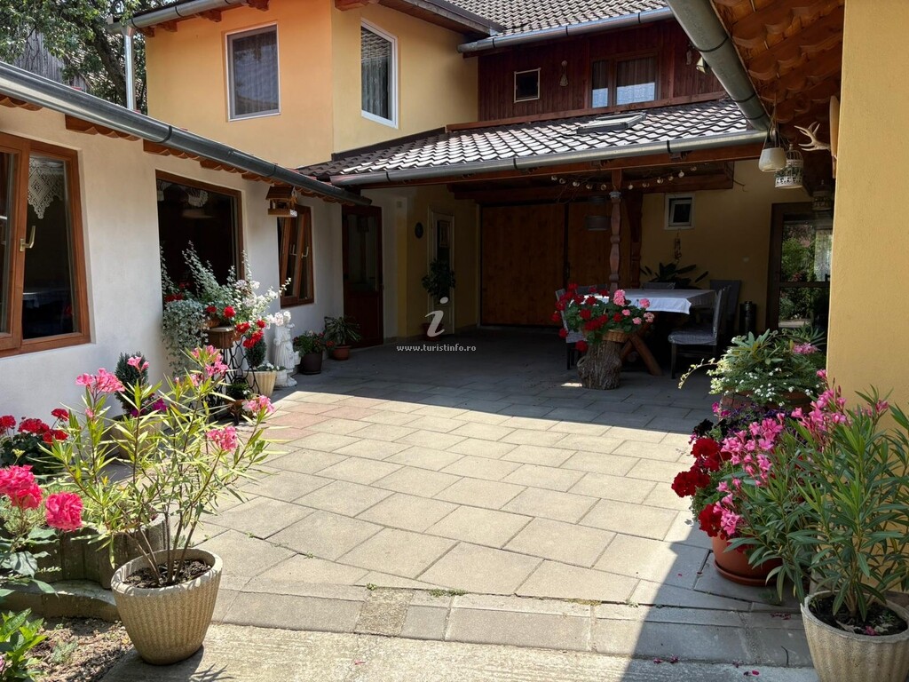 Pensiunea Hanzu Maria Ileana
