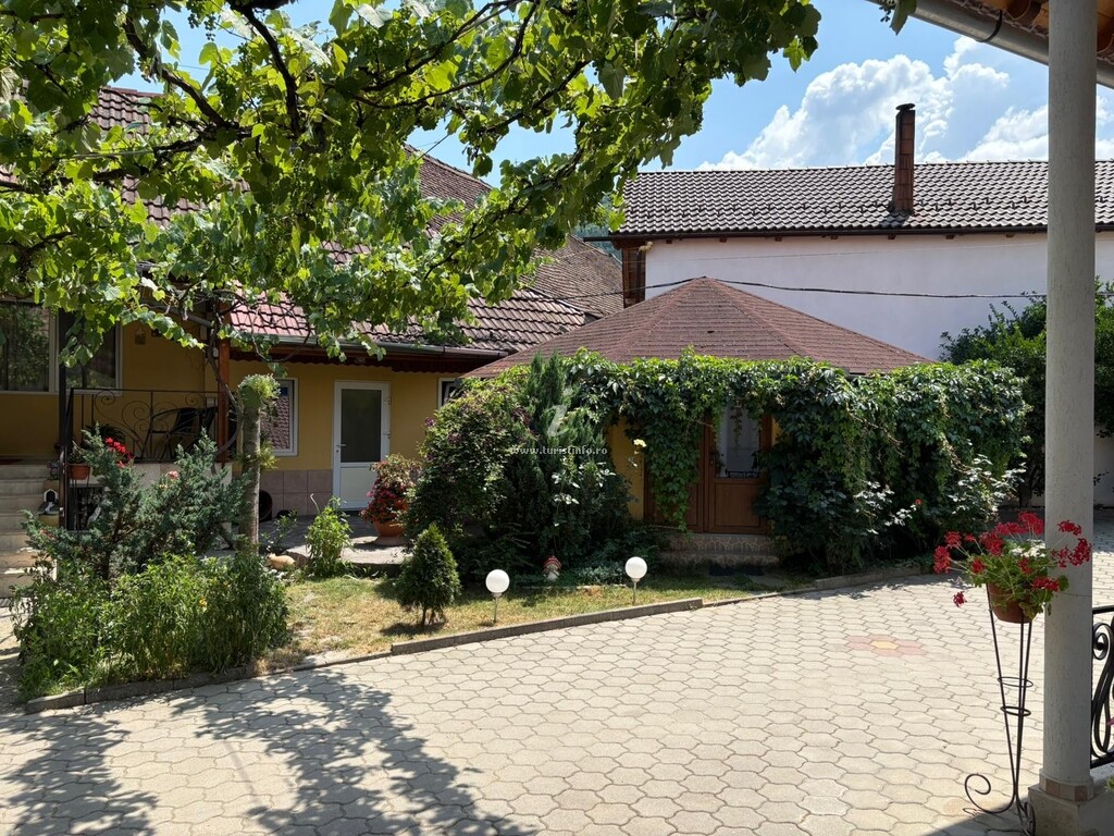 Pensiunea Hanzu Maria Ileana