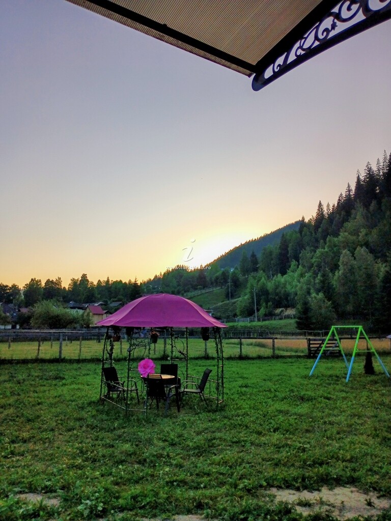 Căsuțele de sub Codru
