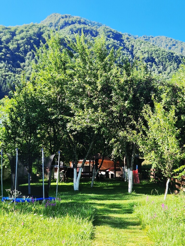 Casa Roxin