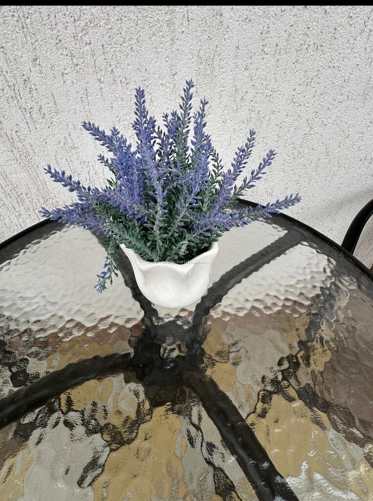 Apartament Elif