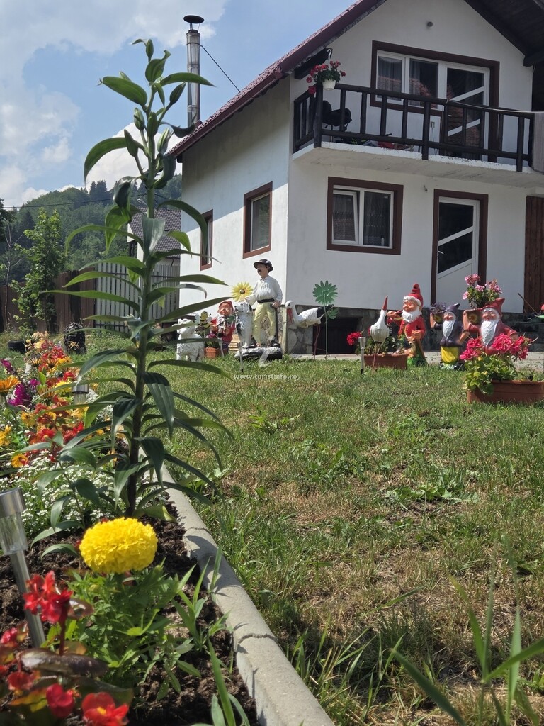 Cabana de lângă Râu
