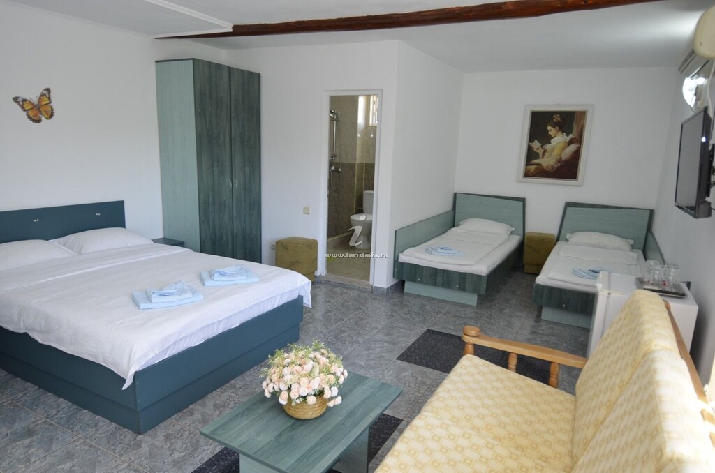 Vila Casa Dinu