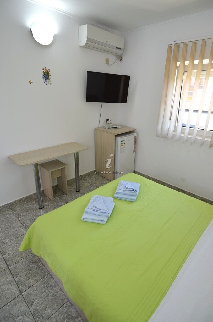 Vila Casa Dinu