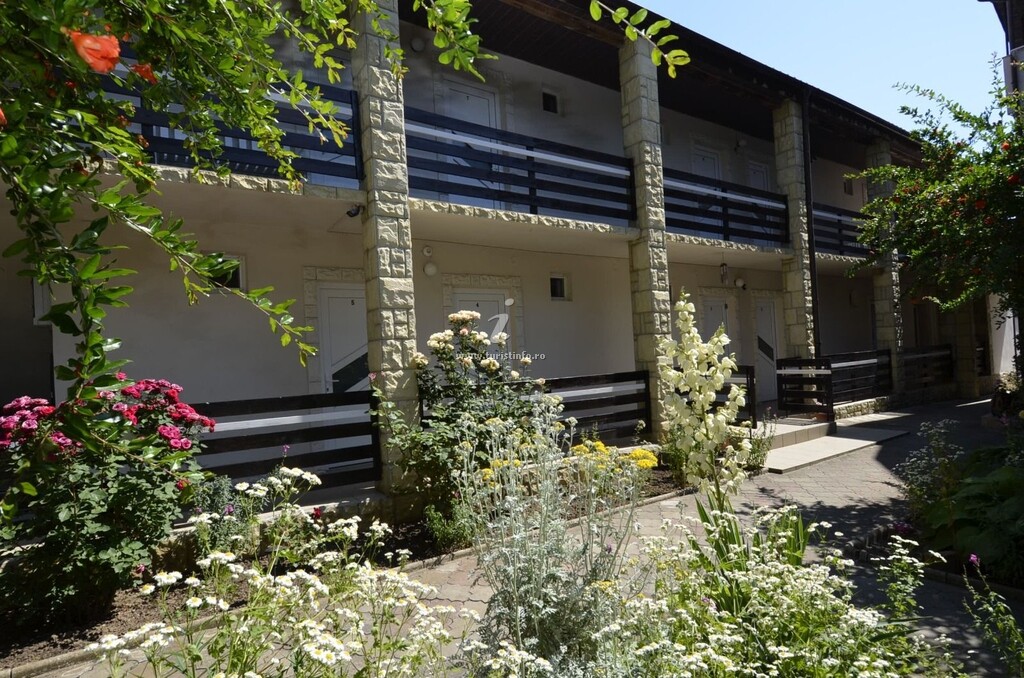 Vila Casa Dinu