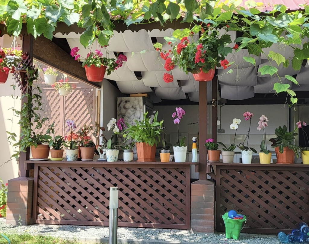 Casa Sunshine