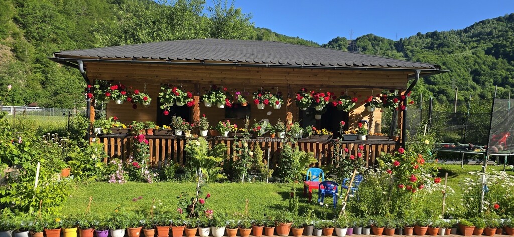 Camere de închiriat Casa Mario