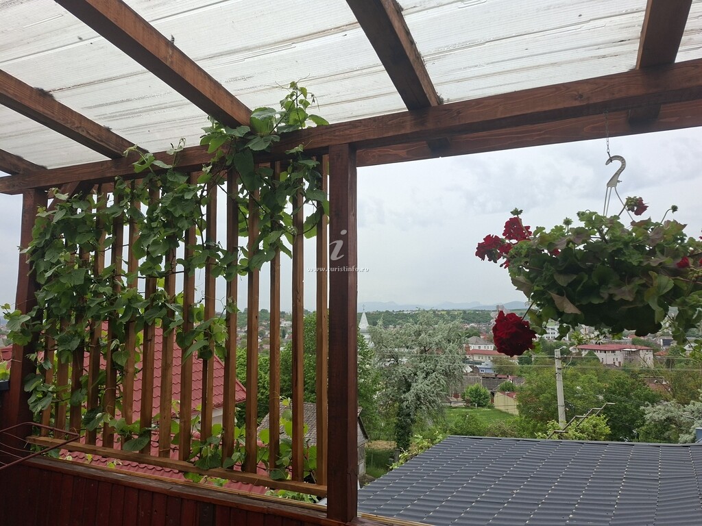 Camere de închiriat Casa Rool