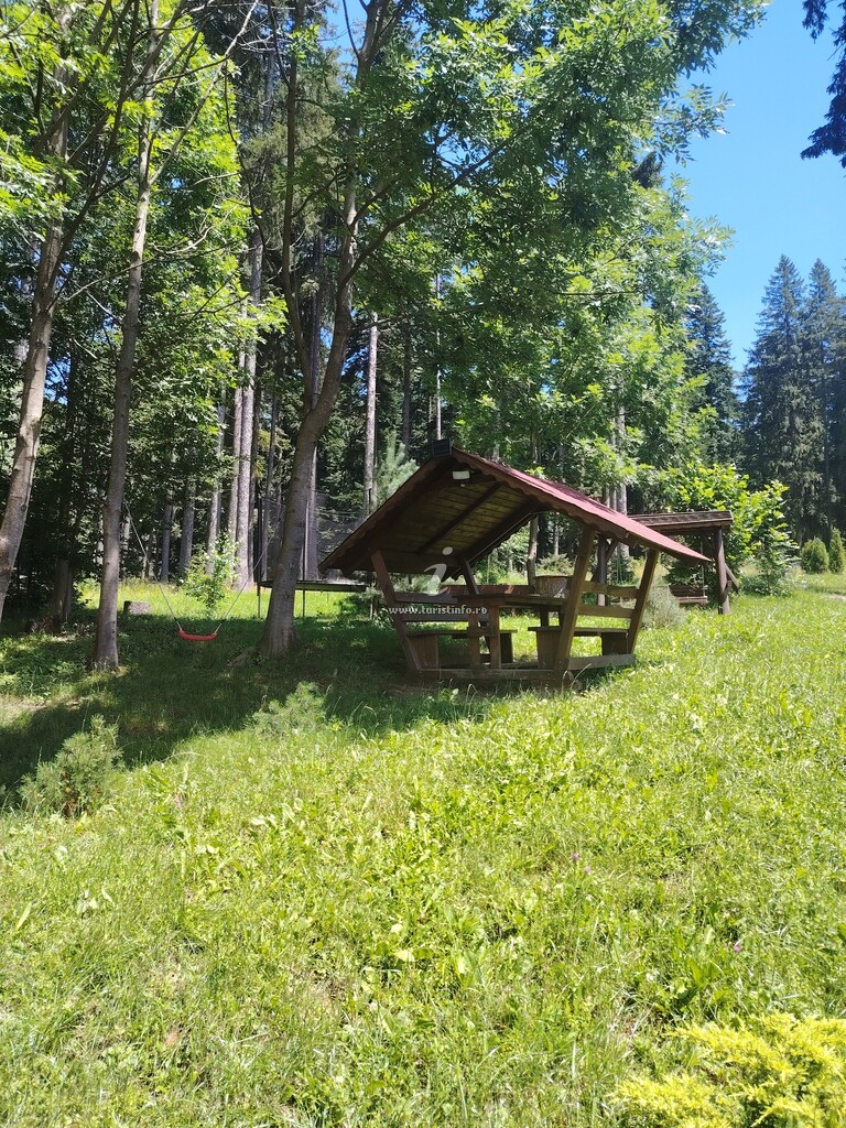 Camere de închiriat Casa Bârlogul Ursului