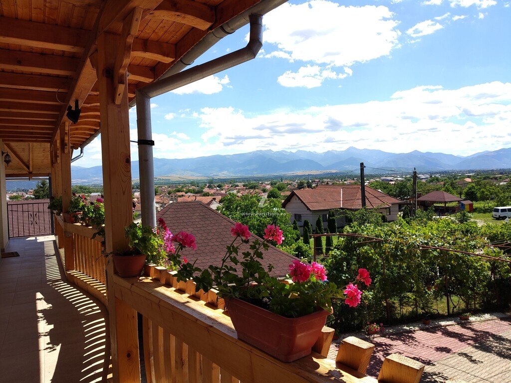 Camere de închiriat Casa Mia