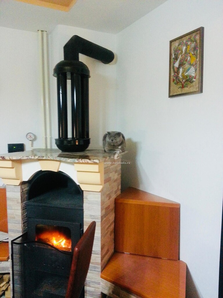 ViiLa Căbănuța