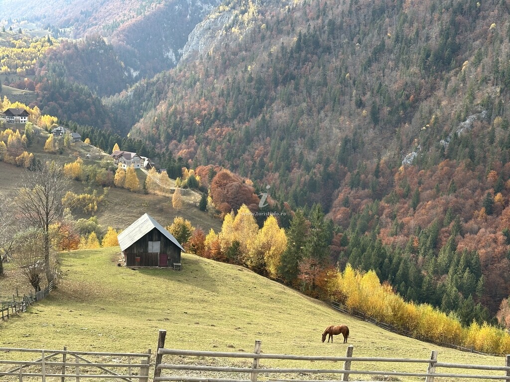 Pensiunea Măgura