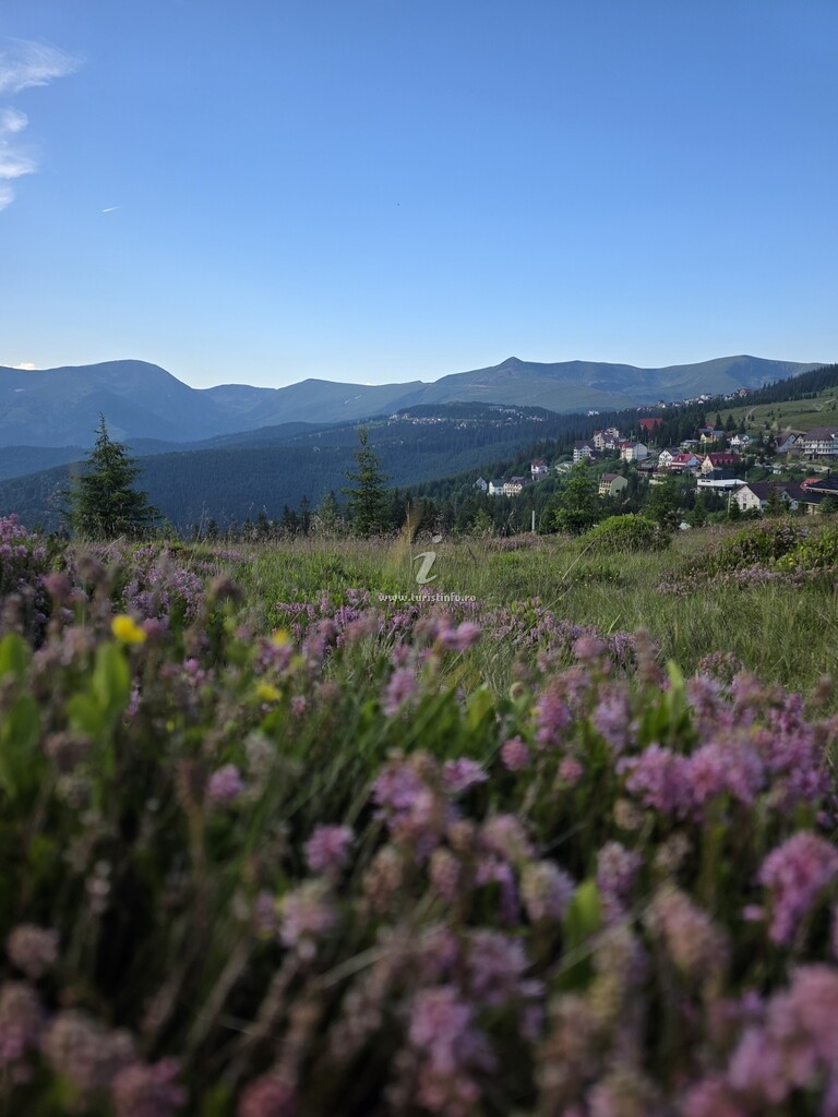Cabana Sky View Rânca Transalpina