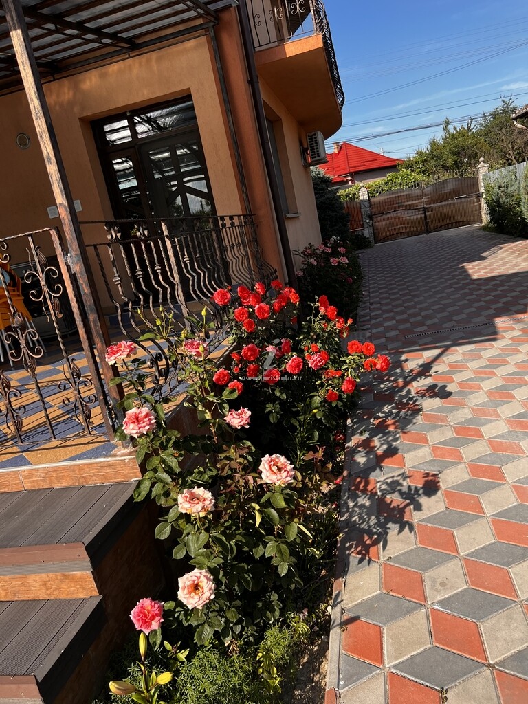 Vila Ovi Salin