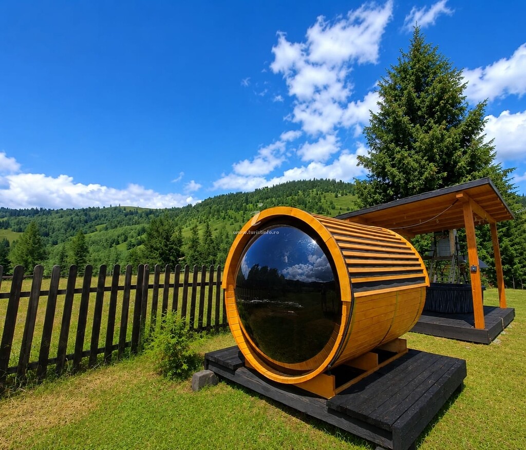 Casa de vacanță Viorica