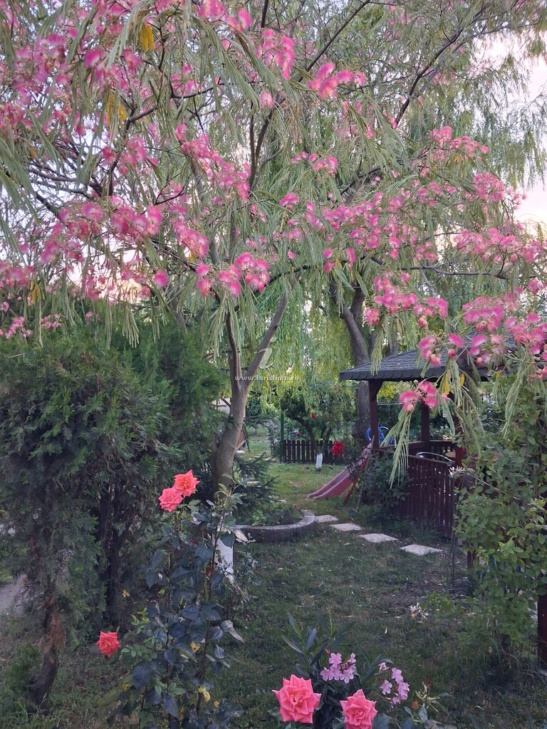 Vila Adriana