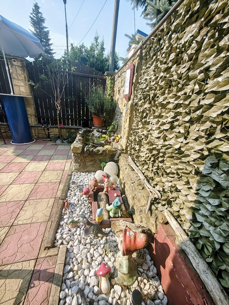 Casa Tony și Alex