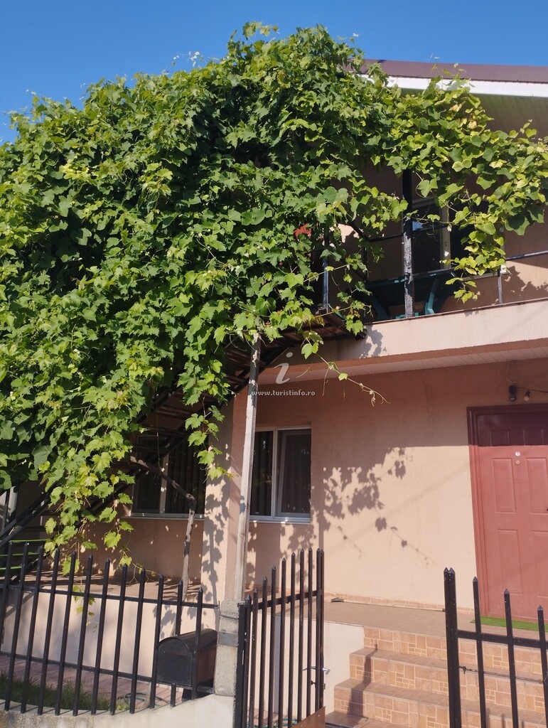 Vila Gabriela
