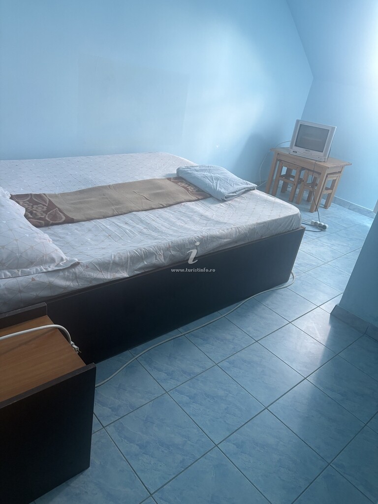 Vila Tineretului
