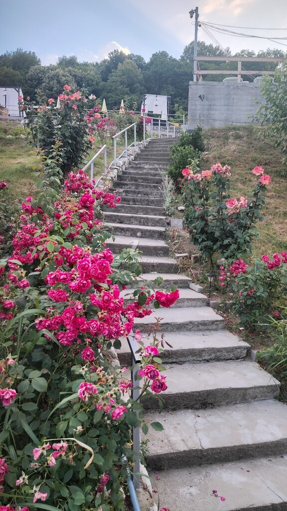 La Mircică