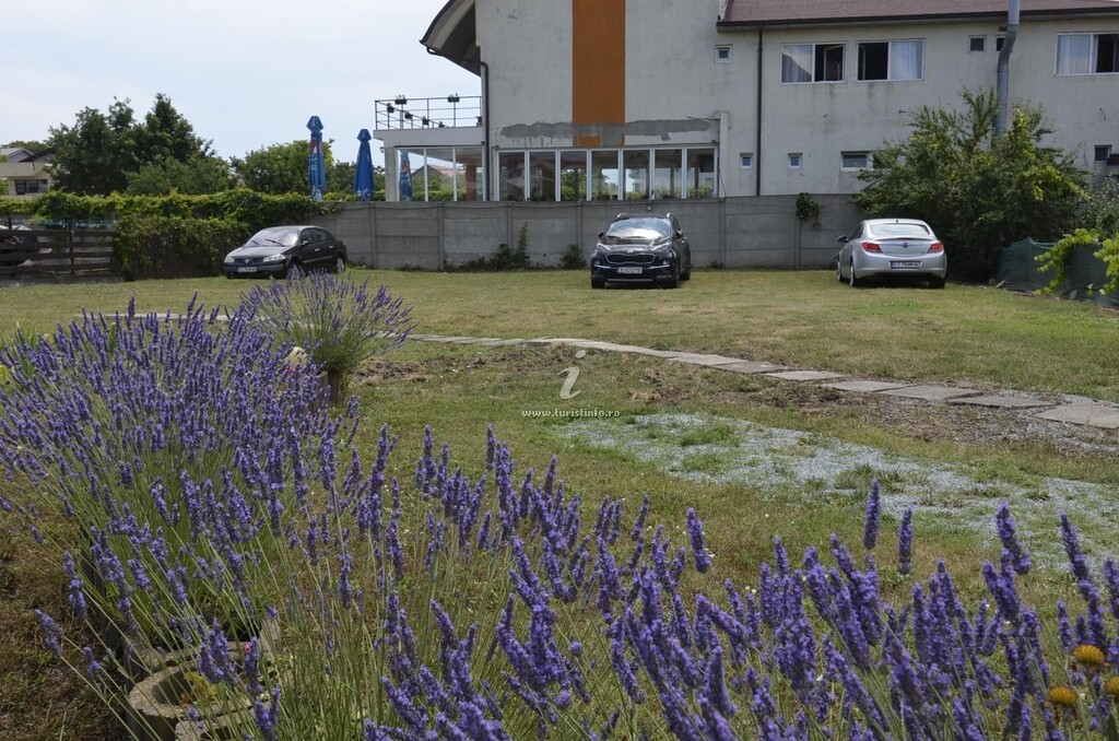 Casa Fântână cu Flori