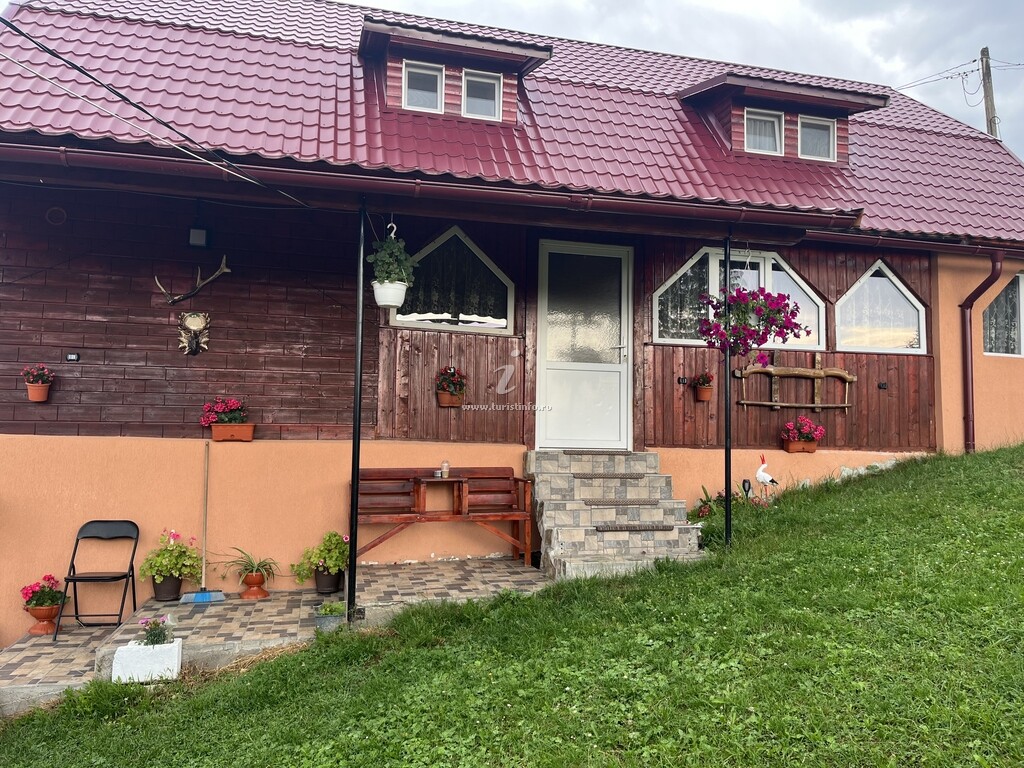 Cabana Daria
