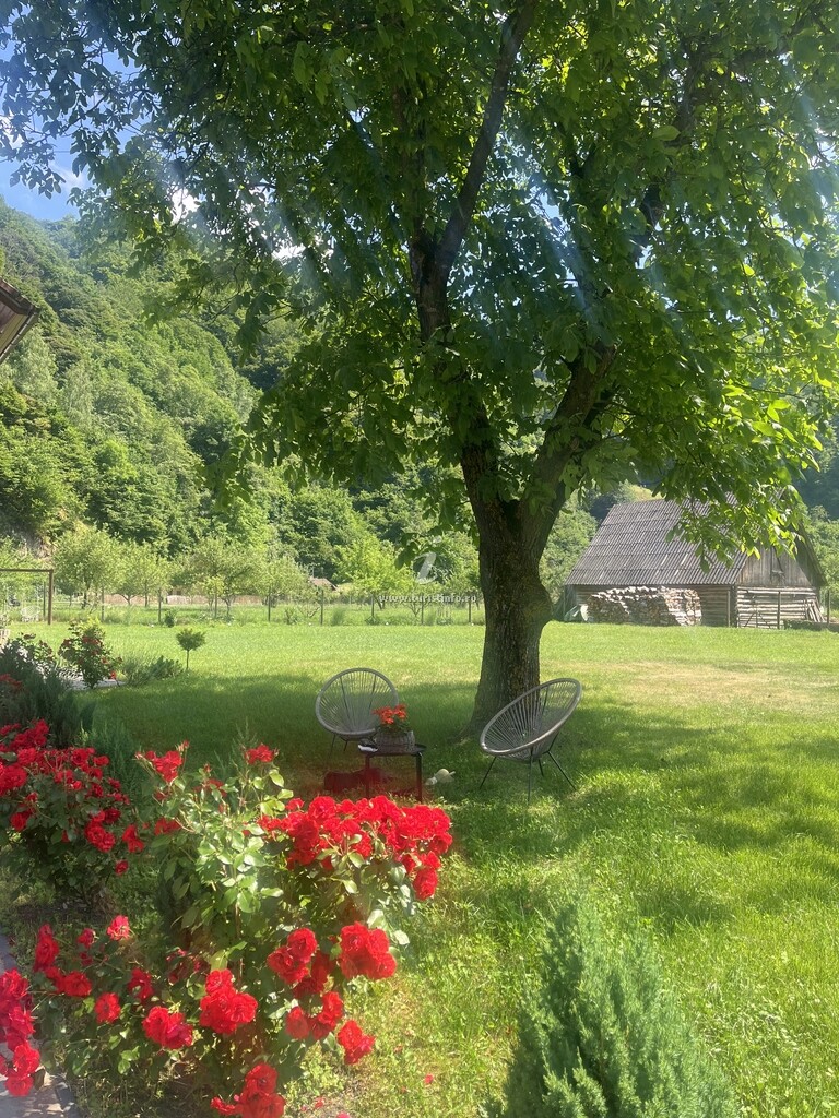 Pensiunea Agroturistică Old River