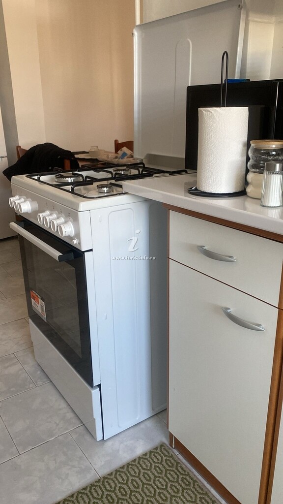 Apartament Pictor Luchian