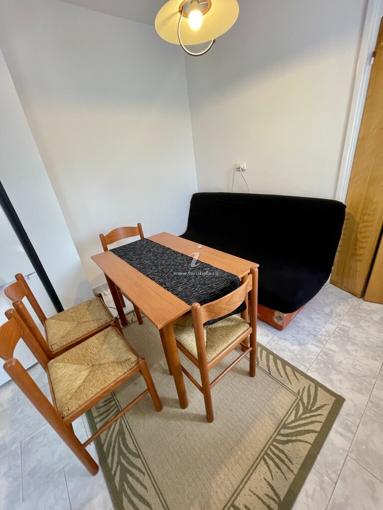 Apartament Pictor Luchian
