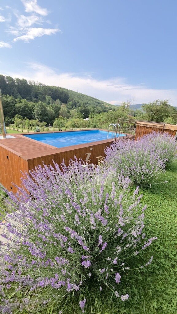 A-frame Liniștea Pădurii