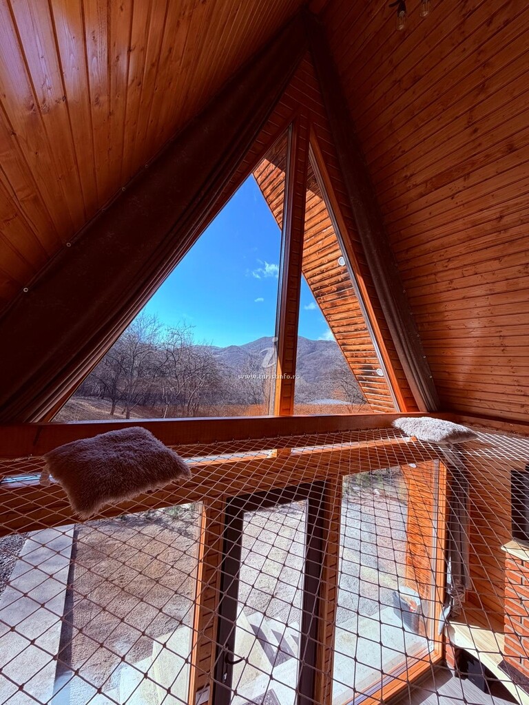 Cabana Aframe Olanești