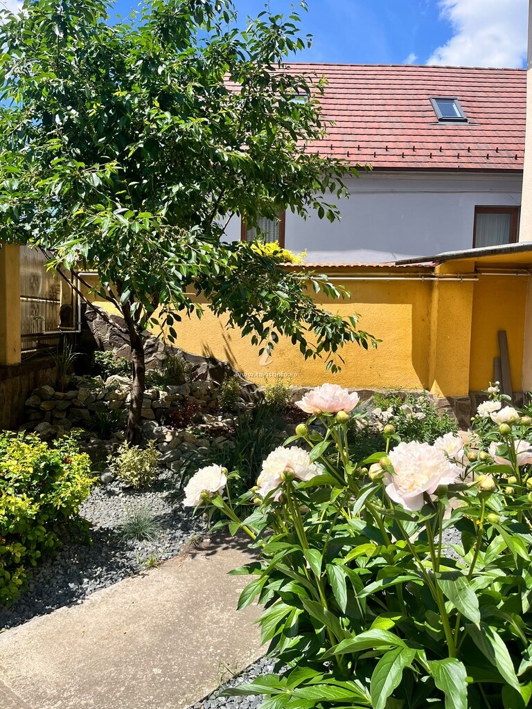 Vila Mirela