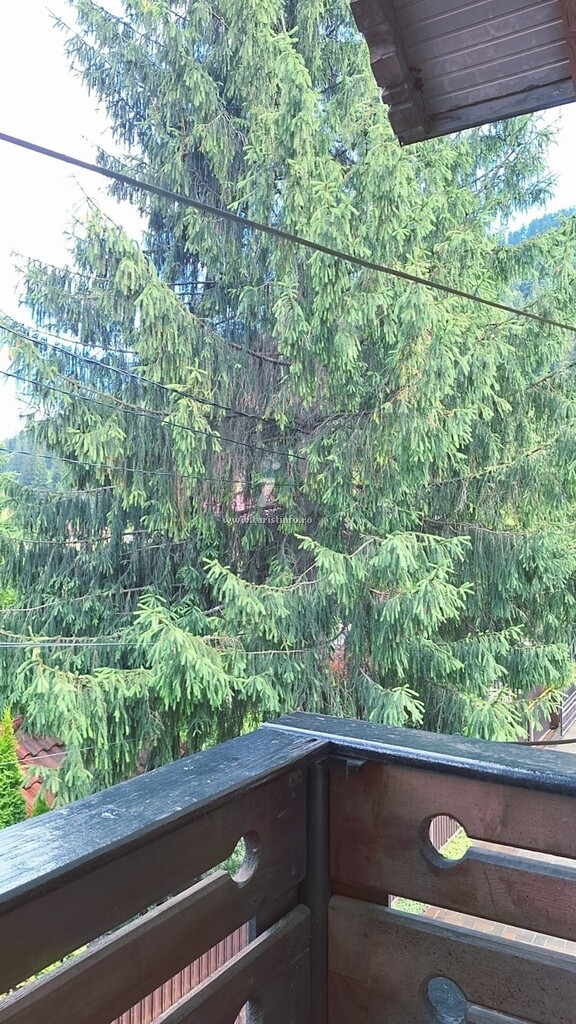Casa Măgura Rarăului