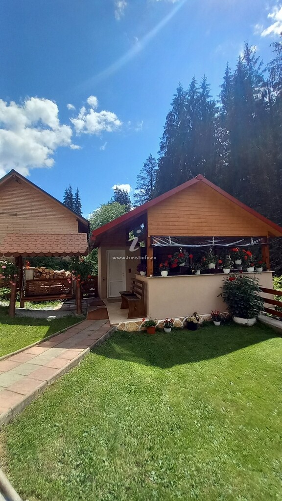 Camere de închiriat Diana
