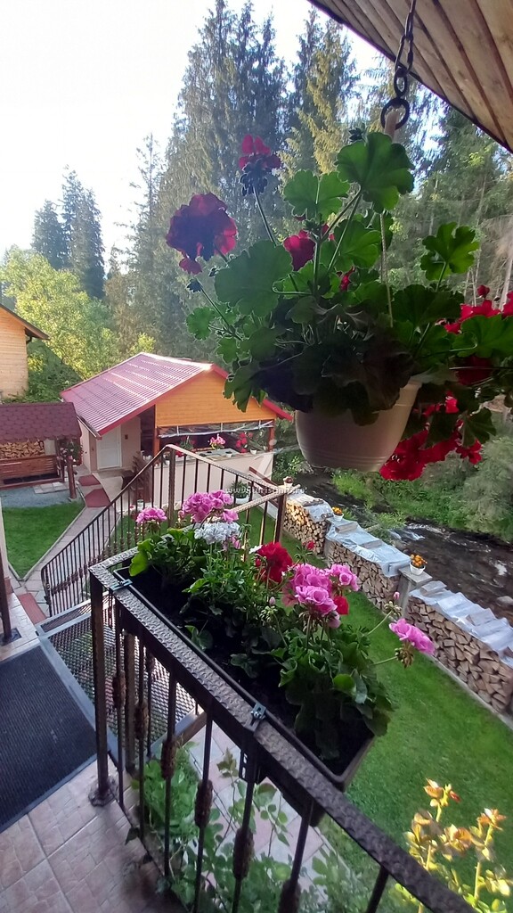 Camere de închiriat Diana