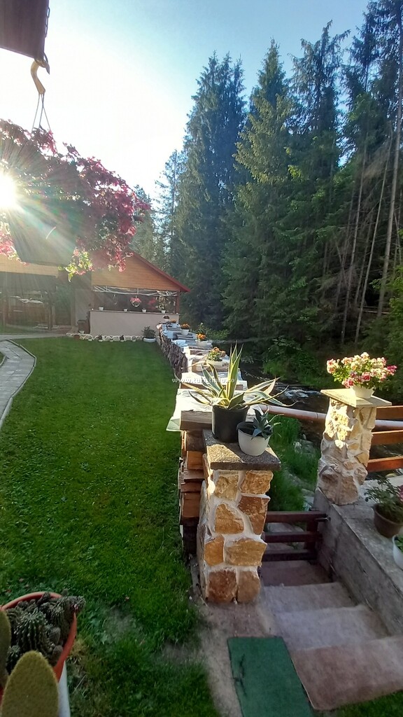 Camere de închiriat Diana