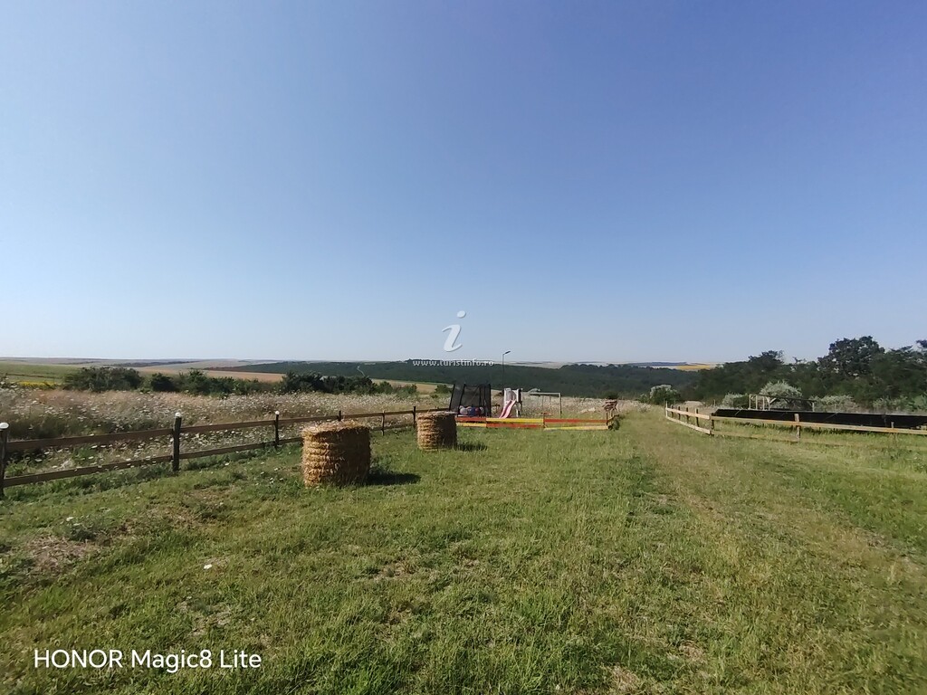 Glamping Sofia's Land