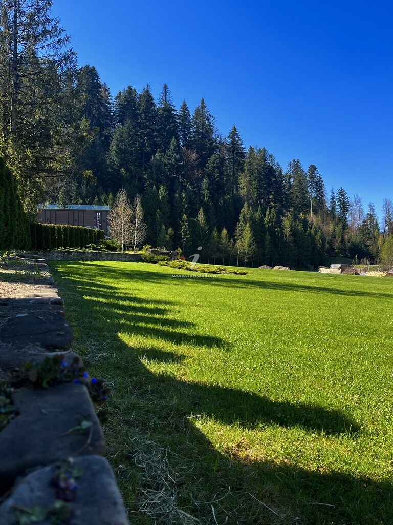 Cabana Iedera Bucovinei