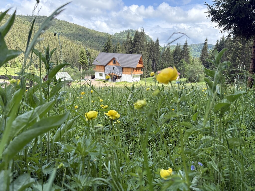 Pensiunea Casa de Piatră
