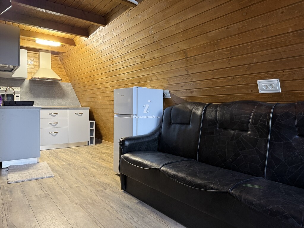 A-frame The Wolf Transfăgărășan