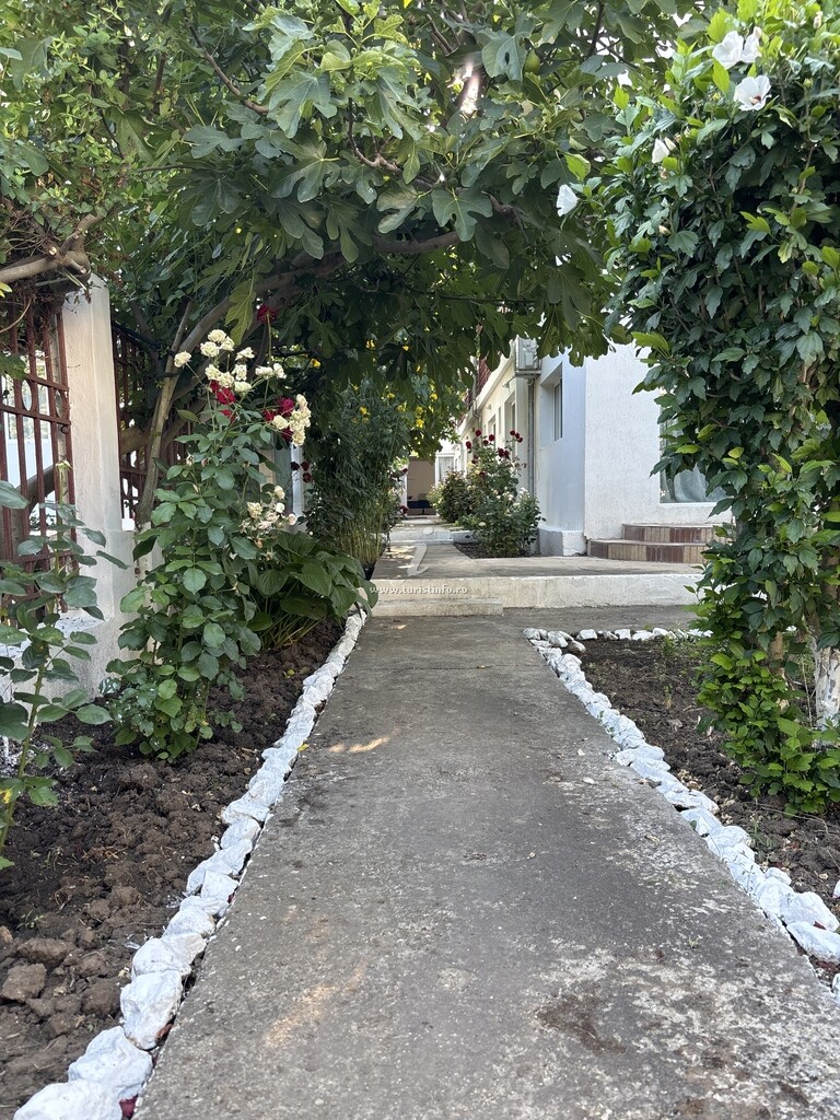 Camere de închiriat Meteor