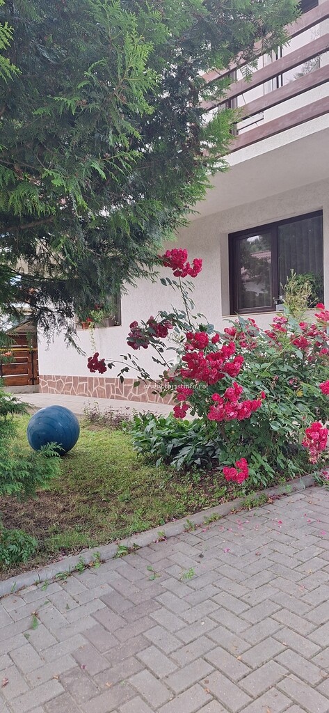 Casa de vacanță VoroLand