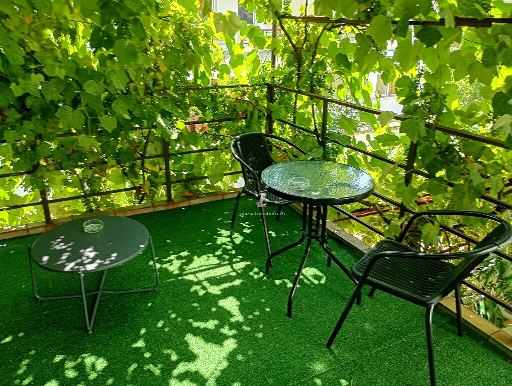 Vila Popoiu