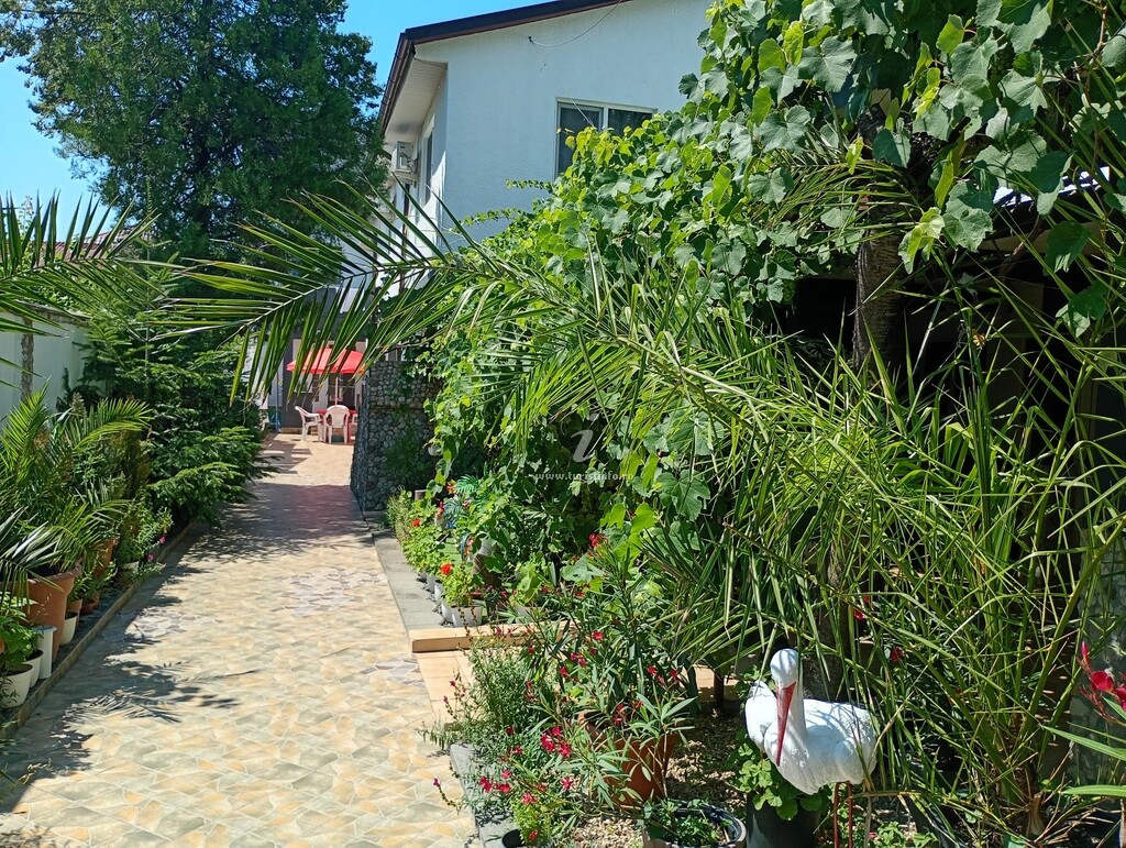 Vila Popoiu